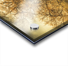 Oatlands autumn tree Acrylic print