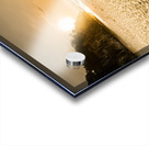 Sand Oasis Acrylic print