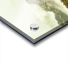 Natural mountain beauty Acrylic print