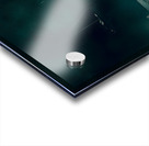 Chilling wood mooring Acrylic print