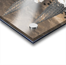 Chip off the old block Acrylic print