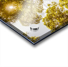 Amity Vl. Acrylic print