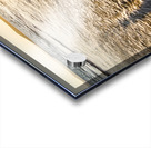 Sun surf and waves Acrylic print