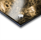 Web of entrapment Acrylic print