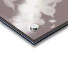 Ghost Flower - Souls in bloom Acrylic print