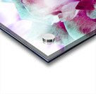 Wild exotics Acrylic print