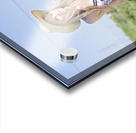 Outback Holiday Woman Acrylic print