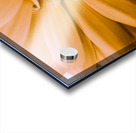 Decorative closeness Acrylic print