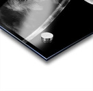 The rabbit hole Acrylic print