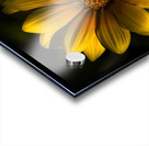 Beginning Of Spring In Flower Acrylic print