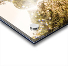 Falls explorer Acrylic print