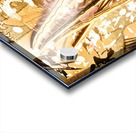 Ornamental orient Acrylic print