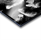 Motions Acrylic print