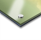 Tasmanian mountain ranges Acrylic print