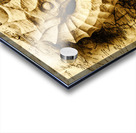 Seahorse Seas Acrylic print