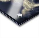 Crepsiculs – An awakening Acrylic print