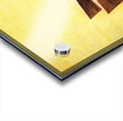 Clothespins and dandelions Acrylic print