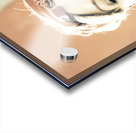 Retro Fun Acrylic print