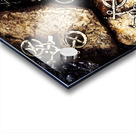 Biking trail scene Acrylic print