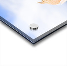 Beach Oasis Acrylic print