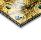 Spot colors Acrylic print