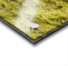 Forest footbridge Acrylic print