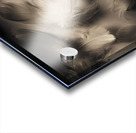 Soft contrasts Acrylic print