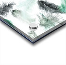 Quill and feather Acrylic print