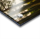 Vibrant autumn hillside Acrylic print