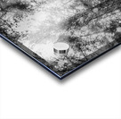 Reigning pines Acrylic print