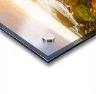 Golden Hour Acrylic print