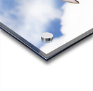 Dreams Acrylic print