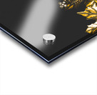 Royal crown jewels Acrylic print