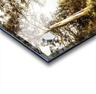 Bush views and lookouts Acrylic print