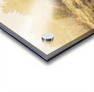 Stallion homestead Acrylic print