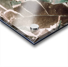 De Composition Acrylic print