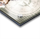 Young sailor pin up girl on travel cruise compass Acrylic print