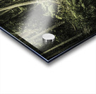 Dense tropics Acrylic print