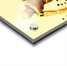 Balsa Boarder 1970 Acrylic print