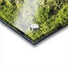 St Columba Falls Tasmania Acrylic print