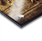 Shell n anchor Acrylic print