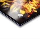 Flames of passion and intimacy Acrylic print