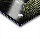 The exotic dark jungle Acrylic print