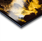 Mask of theatre Acrylic print