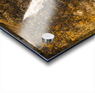 Tasmanian waterfall landscape Acrylic print