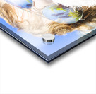 Sweet Taste Of Success Acrylic print