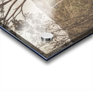 Country charm Acrylic print