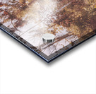 Washes of warmth Acrylic print