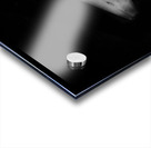 Banana Split Acrylic print