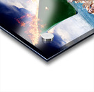 Trouble In Paradise Acrylic print